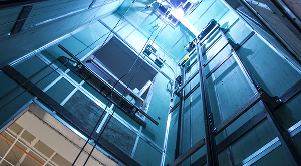 Elevate Consulting Ltd.