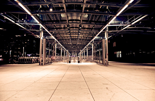 Elevate Consulting Ltd.