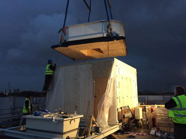 Elevate Consulting Ltd.