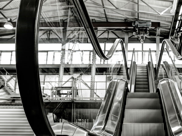 Elevate Consulting Ltd.